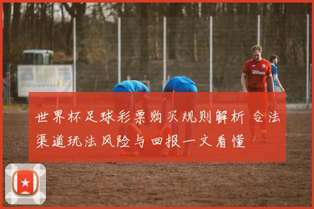 世界杯足球彩票购买规则解析 合法渠道玩法风险与回报一文看懂