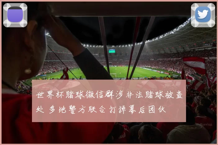 世界杯赌球微信群涉非法赌球被查处 多地警方联合打掉幕后团伙