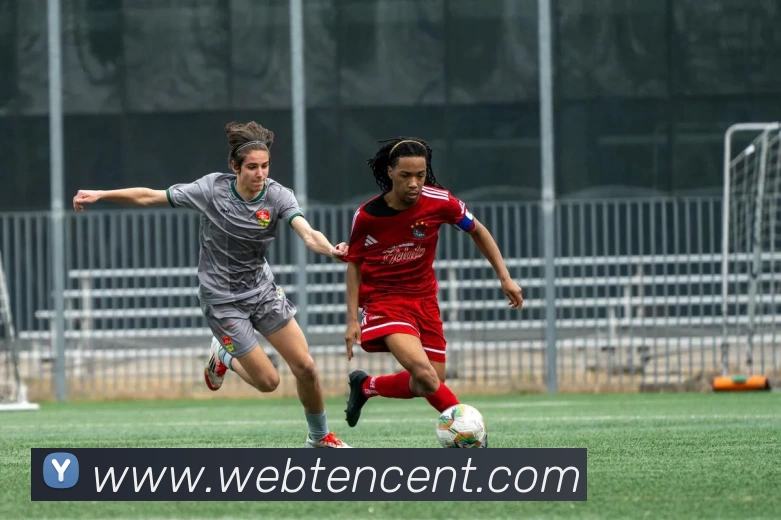 数据防护可视化